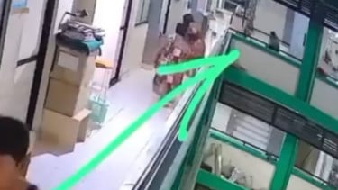 Viral, Anak Kucing Dilempar dari Lantai Lima Rusunawa hingga Mati di Probolinggo