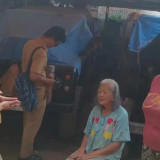 Viral di Threads 20 Anjing Dilepas Malam-Malam hingga Lukai Kucing-Kucing di Jagakarsa, Ini Penjelasan KPKP