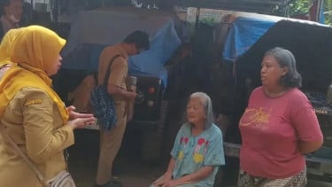 Viral 20 Anjing Dilepas Malam-Malam di Jagakarsa hingga Lukai Kucing-Kucing