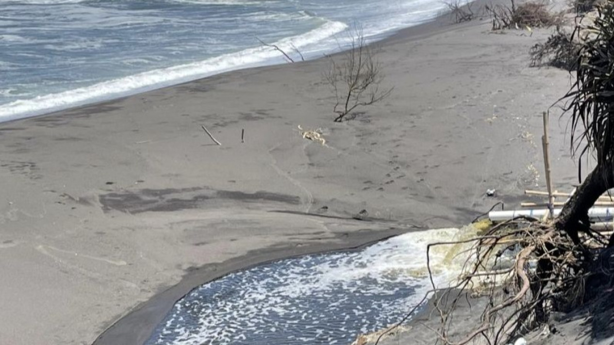 DLH Bantul Ungkap Pembuangan Limbah Usaha Tambak Udang di Pantai Cangkring Belum Penuhi Baku Mutu Lingkungan
            - galeri foto