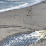 DLH Bantul Ungkap Pembuangan Limbah Usaha Tambak Udang di Pantai Cangkring Belum Penuhi Baku Mutu Lingkungan