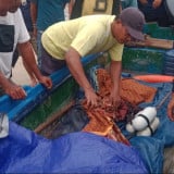 Dua Hari Dicari, Nelayan yang Jatuh ke Laut di Karimun Ditemukan Meninggal Dunia