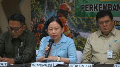 Sebanyak 283.270 Orang Mengidap ISPA Akibat Karhutla Sepanjang Agustus-Oktober, Daerah Tertinggi: Kalimantan Selatan dan Sumatera Selatan