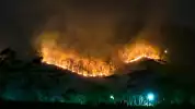 Makin Meluas, Enam Hektare Hutan Jati Produksi Perhutani di Lumajang Terbakar