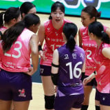 Hasil KOVO Cup 2026, Kamis 15 Oktober: Pink Spiders Tak Terbendung! Dengan Mudah Hajar SOOPers Tiga Set Langsung