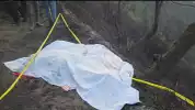 Kebakaran di Gunung Bromo Telan Korban Jiwa, Tiga Orang Dilaporkan Tewas