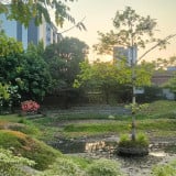 Heboh Tikar Rp129.500 per Jam di Wisdom Park, UGM: Tak Ada Penarikan