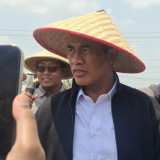 Anomali Harga Ayam dan Telur Bikin Geger, Mentan Minta Mafia Pangan Disikat