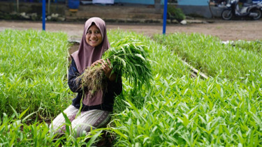 Bukan Cuma Bisnis yang Tumbuh, PNM Mekaar Berhasil Cetak Return Dampak Sosial Hingga 181 Persen