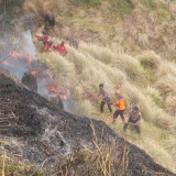 Detik-Detik Enam Petugas Terkepung Kobaran Api Karhutla di Gunung Bromo, Empat Orang Tak Selamat