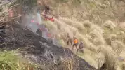 Detik-Detik Enam Petugas Terkepung Kobaran Api Karhutla di Gunung Bromo, Empat Orang Tak Selamat