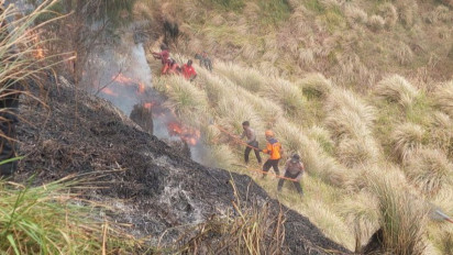 Detik-Detik Enam Petugas Terkepung Kobaran Api Karhutla di Gunung Bromo, Empat Orang Tak Selamat