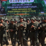 Polri Siapkan Polisi Khusus Kehutanan, Perkuat Perlindungan Hutan dan Penanganan Karhutla