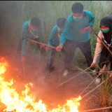 Asap Karhutla Bisa Picu Gangguan Kesehatan, Kemenkes Ingatkan 4 Kelompok yang Paling Rentan