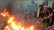 Asap Karhutla Bisa Picu Gangguan Kesehatan, Kemenkes Ingatkan 4 Kelompok yang Paling Rentan