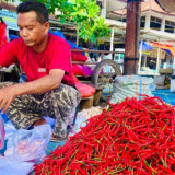 Harga Cabai Merah dan Rawit di Aceh Barat Naik Drastis jadi Rp 85 Ribu per Kilogram