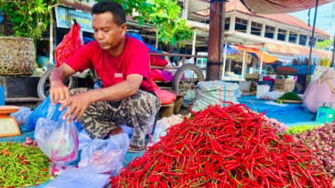 Harga Cabai Merah dan Rawit di Aceh Barat Naik Drastis jadi Rp 85 Ribu per Kilogram