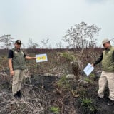 Tindak Tegas Terduga Pelaku Karhutla, Kemehut Sanksi 32 Perusahaan