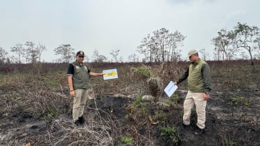 Tindak Tegas Terduga Pelaku Karhutla, Kemehut Sanksi 32 Perusahaan