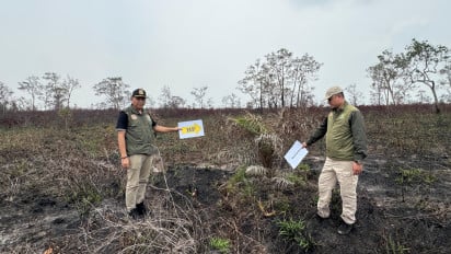 Tindak Tegas Terduga Pelaku Karhutla, Kemehut Sanksi 32 Perusahaan