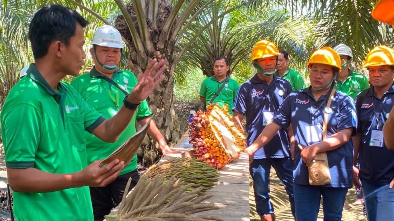Tingkatkan Produktivitas, Petani Swadaya Kaltim Dilatih Praktik Budidaya Sawit Berstandar Industri
            - galeri foto