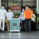 “ROCKY" Orangutan Sumatera Korban Perdagangan Ilegal Dipulangkan dari India