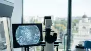 Prof. Deby Vinski Raih Merit Award di Moldova, Bawa Misi Pengembangan Stem Cell ke Eropa