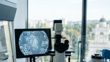 Prof. Deby Vinski Raih Merit Award di Moldova, Bawa Misi Pengembangan Stem Cell ke Eropa