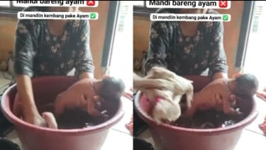 Geger! Seorang Nenek Memandikan Bayi Berusia 40 Hari Pakai Air Kembang Bareng Seekor Ayam Hidup