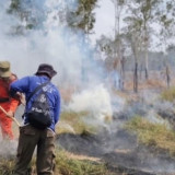Petugas Gabungan Terus Berjibaku Padamkan Api di Hutan TNWK