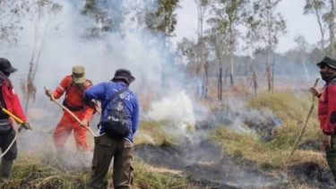 Petugas Gabungan Terus Berjibaku Padamkan Api di Hutan TNWK