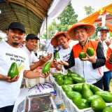 Hari Tani Nasional 2026, Mentan hingga Almuzammil Yusuf  Turun Gunung  Buka Pesta Rakyat Petani di Lampung