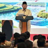 Presiden Prabowo Geram, Perusahaan Asing yang Sebabkan Karhutla di Hutan RI Terancam Ditendang