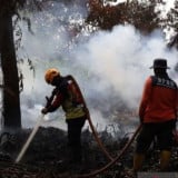 Bukan Pengusaha atau Negara Tetangga, Bakom RI Ungkap Musuh Utama Indonesia dalam Kasus Karhutla