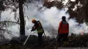 Bukan Pengusaha atau Negara Tetangga, Bakom RI Ungkap Musuh Utama Indonesia dalam Kasus Karhutla