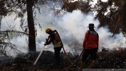 Bukan Pengusaha atau Negara Tetangga, Bakom RI Ungkap Musuh Utama Indonesia dalam Kasus Karhutla