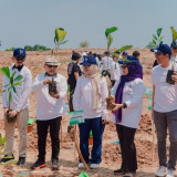 Dorong Kemandirian Energi, Tanaman Aren Jadi Andalan Baru di Batang