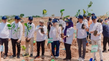 Dorong Kemandirian Energi, Tanaman Aren Jadi Andalan Baru di Batang