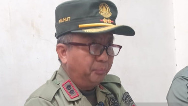 Sebanyak 779,4 Hektare Kawasan Gunung Sumbing Terdampak Kebakaran Hutan