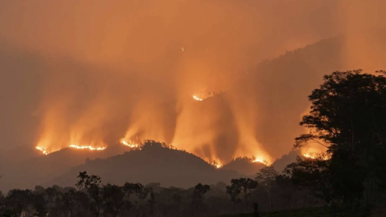 Kebakaran Gunung Arjuno, BNPB Terjunkan Helikopter Water Bombing dan Pesawat Cuaca
            - galeri foto