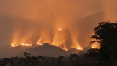 Kebakaran Gunung Arjuno, BNPB Terjunkan Helikopter Water Bombing dan Pesawat Cuaca