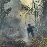 PMKRI Soroti Karhutla dan Dampak PSN di Papua Selatan, Desak Perlindungan Hak Masyarakat Adat