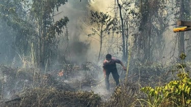 PMKRI Soroti Karhutla dan Dampak PSN di Papua Selatan, Desak Perlindungan Hak Masyarakat Adat