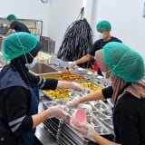 Program MBG Buka Lapangan Kerja Baru, 100 Ribu Pekerja Diserap KPPG Bogor