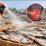 Ngeri! Viral Ikan Asin Diduga Disemprot Cairan Pembasmi Serangga, Ini 5 Risiko Kesehatan jika Dikonsumsi
