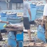Viral Ikan Asin Diduga Disemprot Pestisida, BPOM Turun Tangan dan Ingatkan Bahaya Residu Kimia