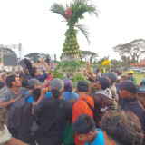 Ratusan Warga Kota Probolinggo Berebut 50 Gunungan Mangga di Festival Mango Carnival