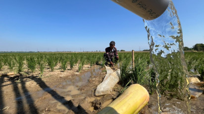 Memutus Kutukan Kemarau, Listrik Pertamina Menghidupkan Sawah di Desa Jatimunggul Indramayu