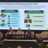 Dorong Produktivitas Petani, BPDP Akselerasi Program Peremajaan Sawit Rakyat