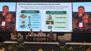 Dorong Produktivitas Petani, BPDP Akselerasi Program Peremajaan Sawit Rakyat